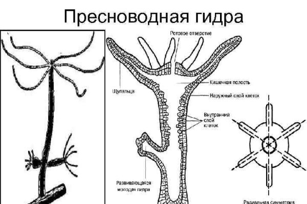 Официальная ссылка на kraken 3dark link com