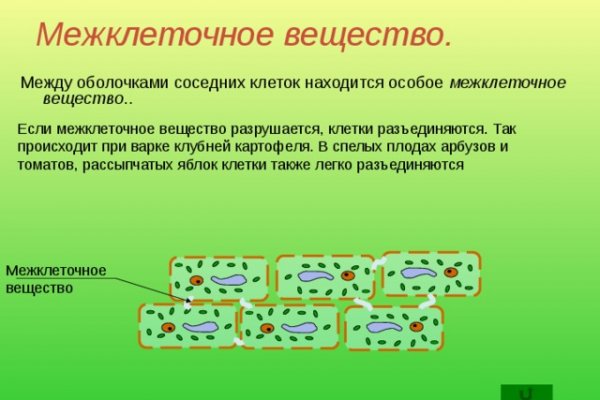 Официальный сайт даркнет